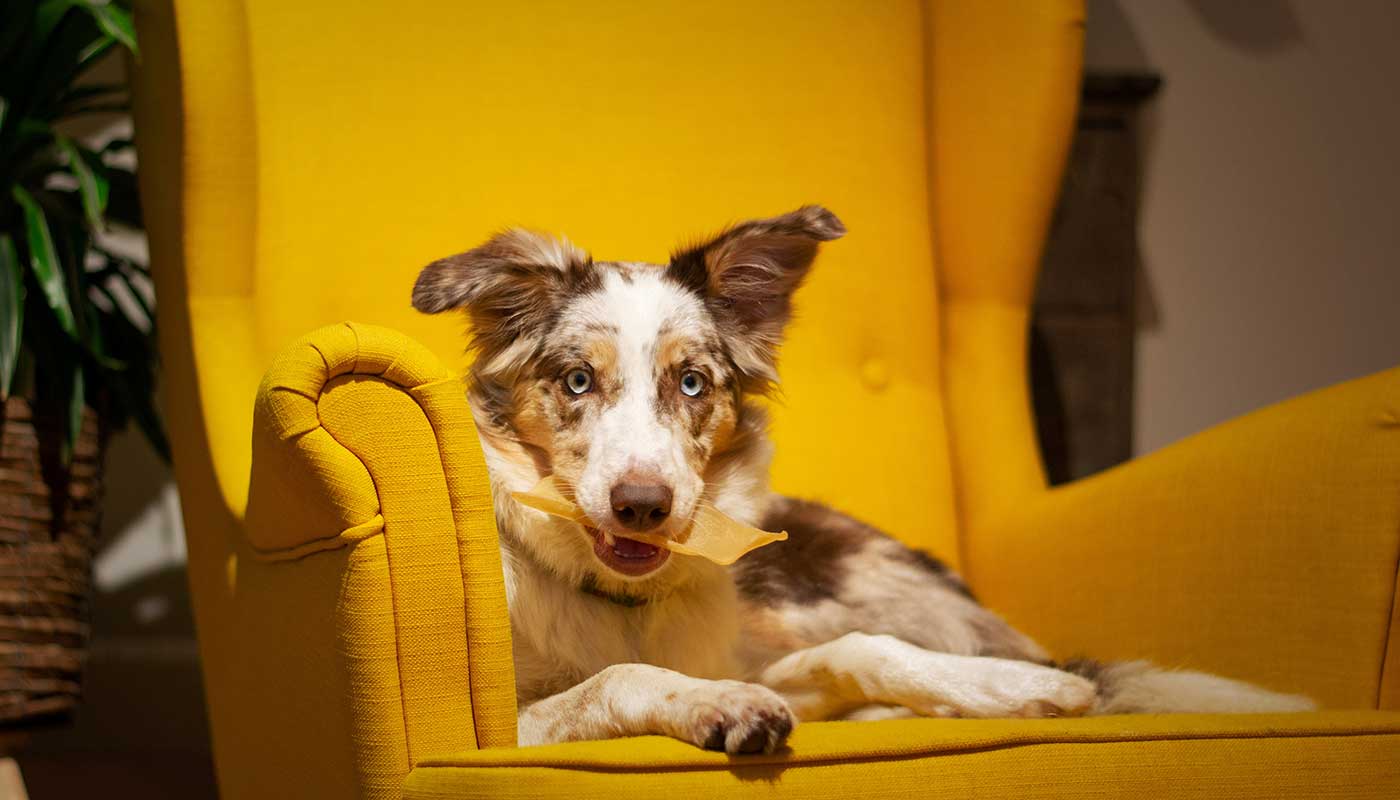 Công ty TNHH Thương mại Golden Sweets Việt Nam