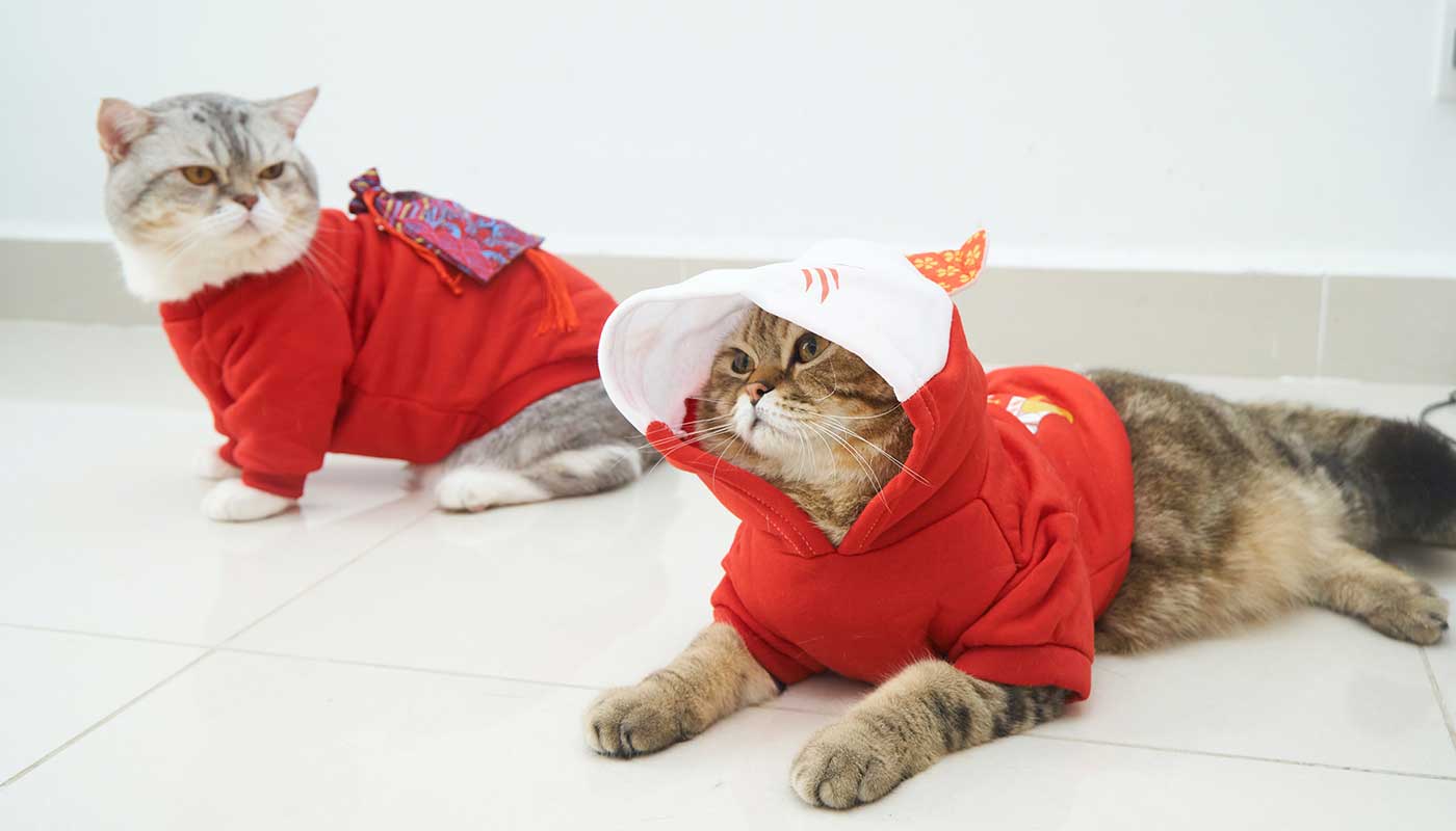 Công ty TNHH Thương mại Golden Sweets Việt Nam