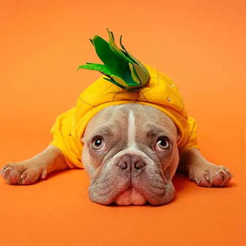 Công ty TNHH Thương mại Golden Sweets Việt Nam