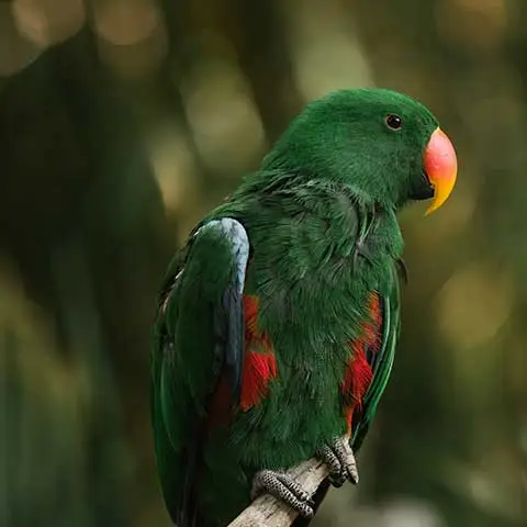 Công ty TNHH Thương mại Golden Sweets Việt Nam