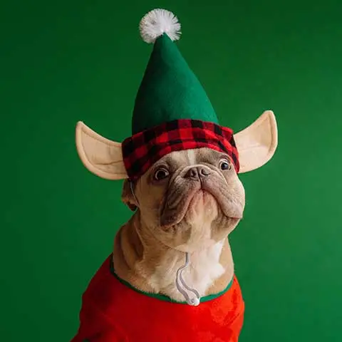 Công ty TNHH Thương mại Golden Sweets Việt Nam